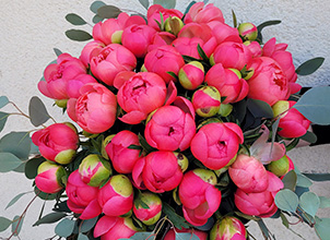 Fleuriste à Chambray-lès-Tours (37) dans l’Indre-et-Loire